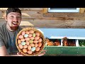 Our CHICKENS Laid This Many EGGS In One WEEK