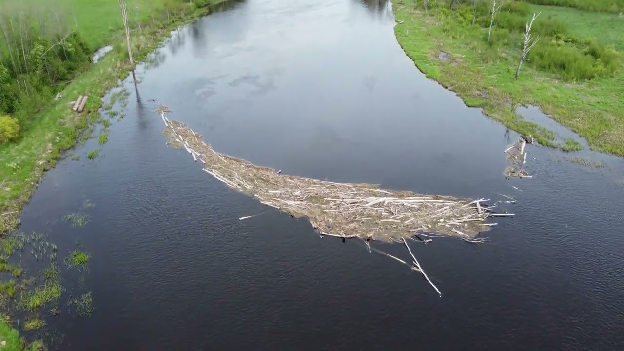 Dambji un slūžas uz Aiviekstes upes.Dams and sluice on the Aiviekste River