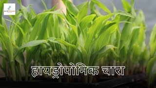 कम जगत पषटक चर