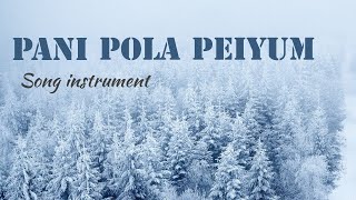 Video thumbnail of "Pani Pola Peium Parisuthare Song Instrument"