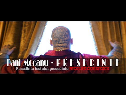 Dani Mocanu - Presedinte