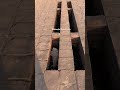 Explore Nalanda University 🏣. #youtubeshorts #explore