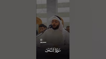 ما تيسر من سورة النحل | القارئ الشيخ أحمد عبدالعزيز النفيس #القرآن_الكريم #احمد_النفيس #سورة_النحل