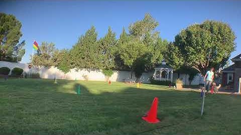 Score virtual rally AKC RNV5