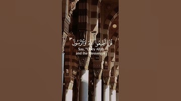 سورة آل عمران: [31 -32]     #شيخ_ماهر_المعيقلي