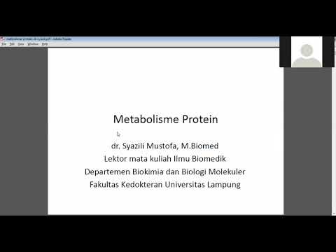 Video: Pengagregatan Protein Dan Pengubahsuaian Lipid Membran Di Bawah Tekanan Asid Laktik Dalam Jenis Liar Dan OPI1 Dipadam Strain Saccharomyces Cerevisiae