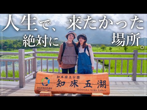 【北海道/知床】ヒグマの暮らす世界遺産を歩く。ここにしか無い大自然。