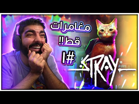 مغامرات قط !! 🐱 - Stray #1