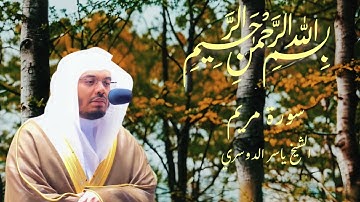 سورة مريم الشيخ ياسر الدوسري #ياسر_الدوسري #سورة_مريم