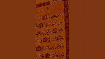 آيات من الذكر الحكيم القرآن الكريم سورة الطارق ماهر المعيقلي #صلوا_على_النبي