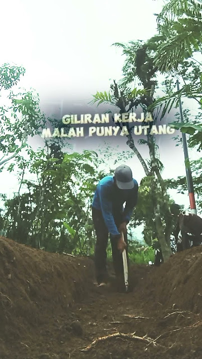 #StarsEverywhere #Story #short #memes #katakata #motivation #quotes  #pemula #beranda #fyp (1)