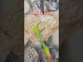 Indian coin #shortvideo #youtubeshorts #viralshorts