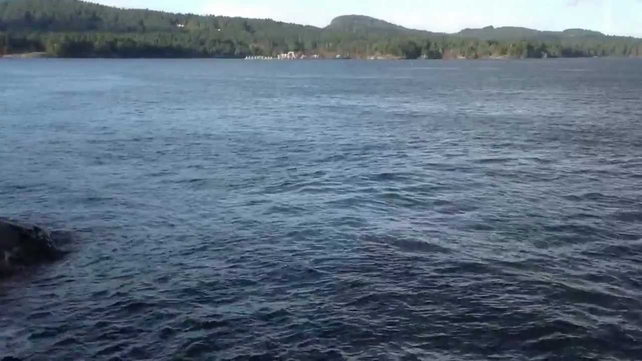 Georgina Point Mayne Island December 4, 2012