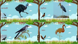 পাখির নাম শিখুন | Birds Name in Bangla | Learn Birds Names | Bangali Birds Name | Birds Name