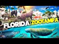 Zoo tours florida  zootampa at lowry park