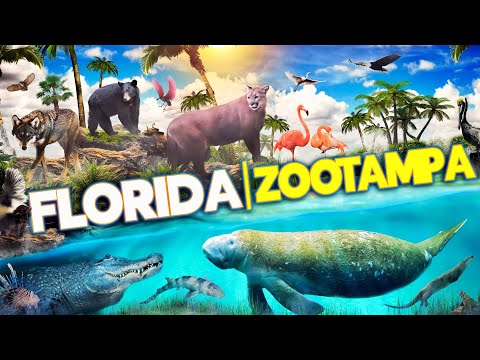Video: Best Animal Attractions sa Orlando Area
