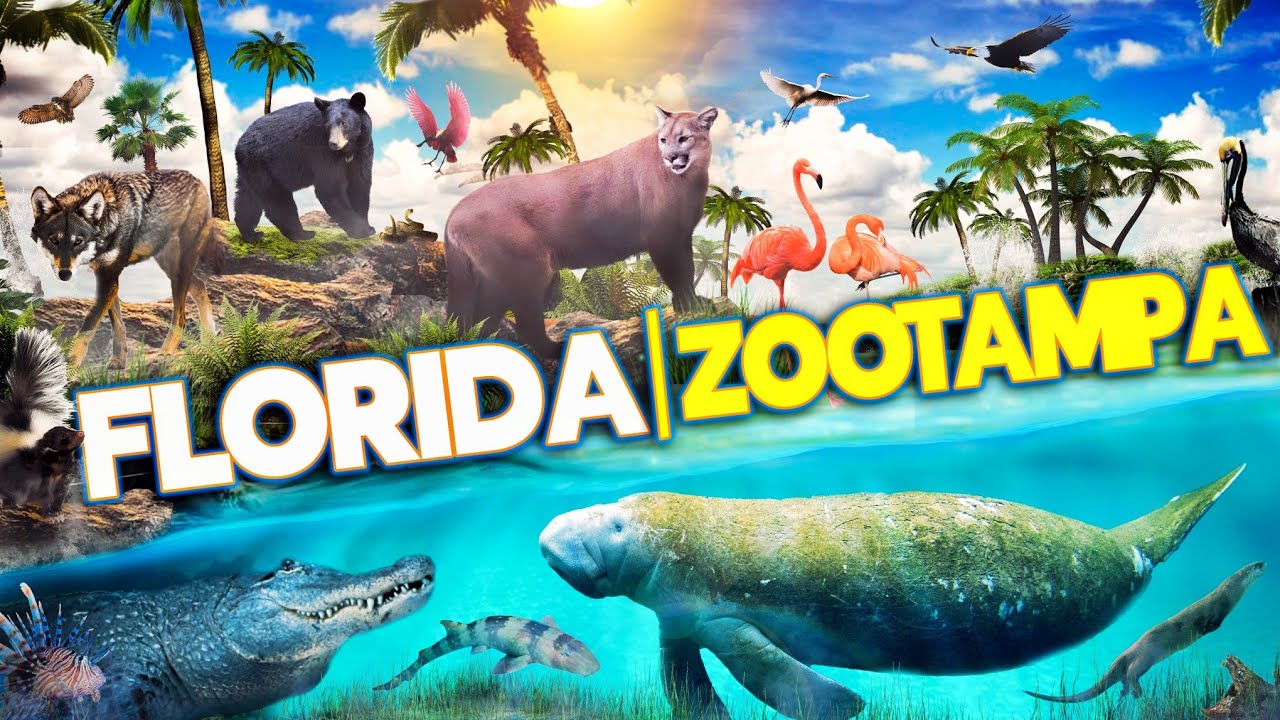 Zoo Tours: Florida | ZooTampa at Lowry Park