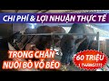 CHI PHÍ & LỢI NHUẬN THỰC TẾ TRONG CHĂN NUÔI BÒ VỖ BÉO