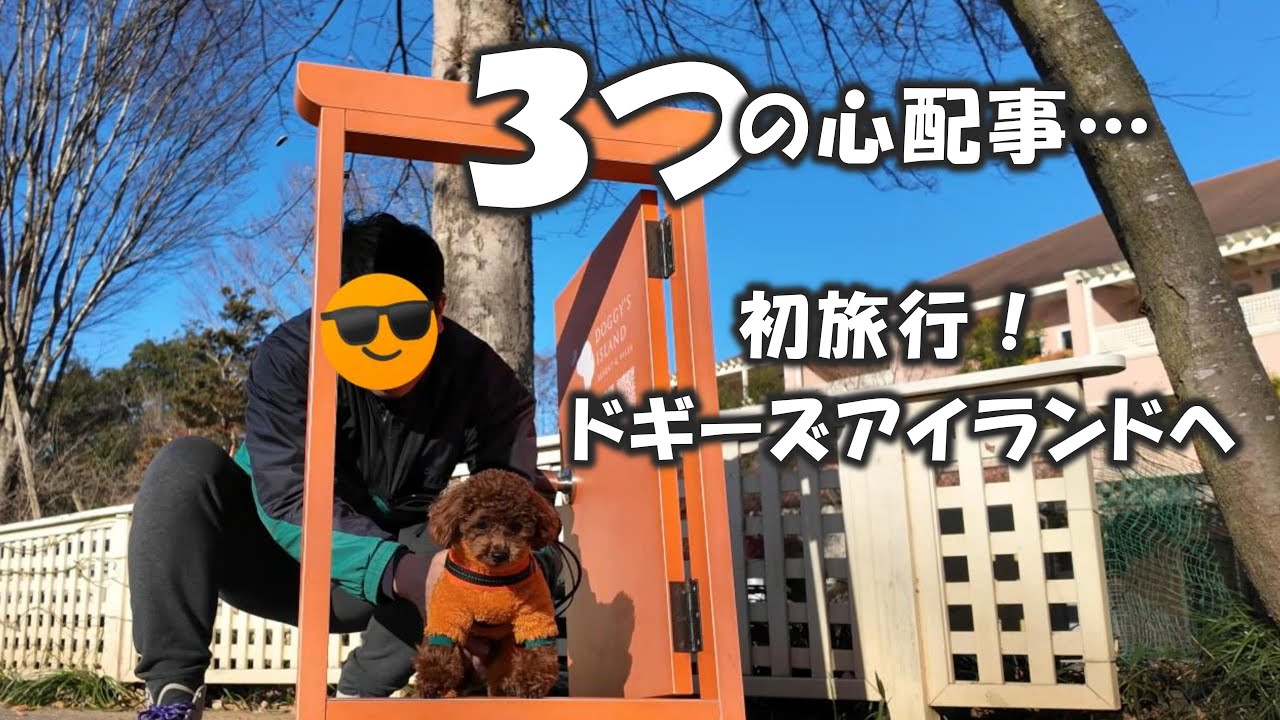 #3  【 初旅行🚗 】いざドギーズアイランドへ❗️ / ３つの心配事 / 可愛いリンクコーデ / お庭でお茶会
