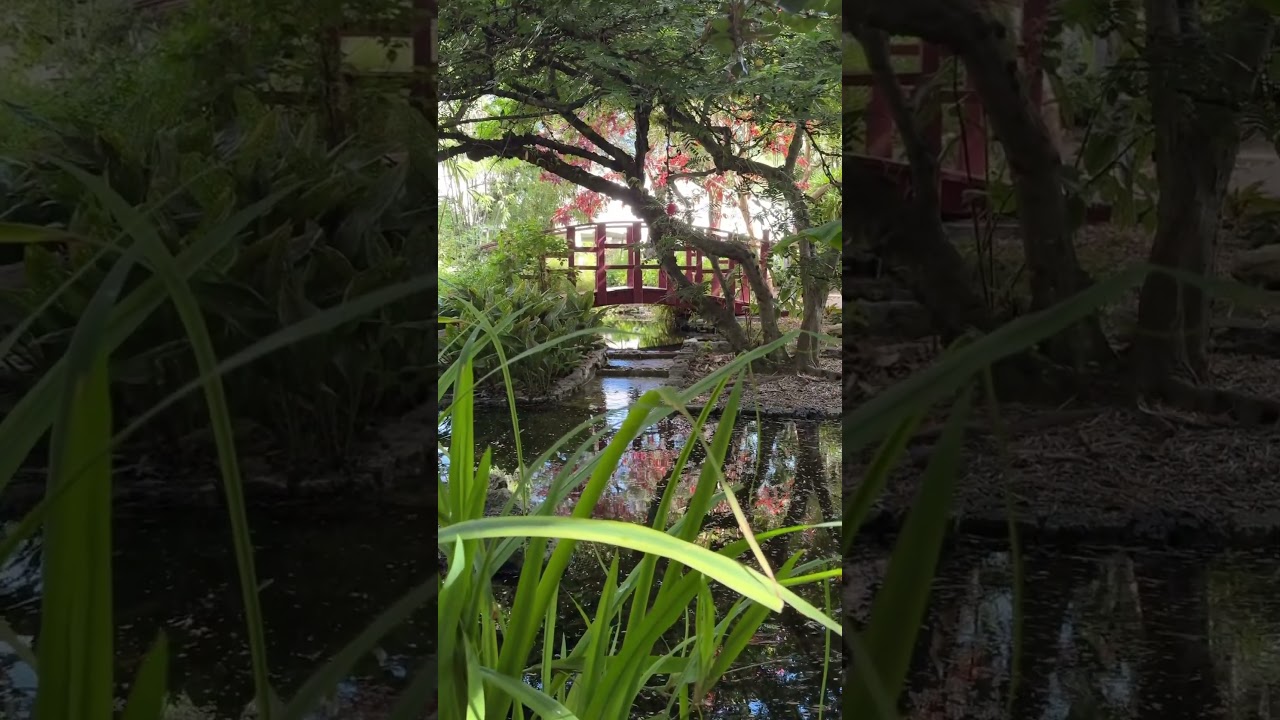 Explore Miami Beach Botanical Garden 
