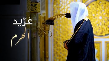 غرّيد الحرم يبدع مع التحبير بترتيل المميزة لسورة الحاقة الشيخ أحمد الحذيفي | عشاء 24-4-1446  هـ