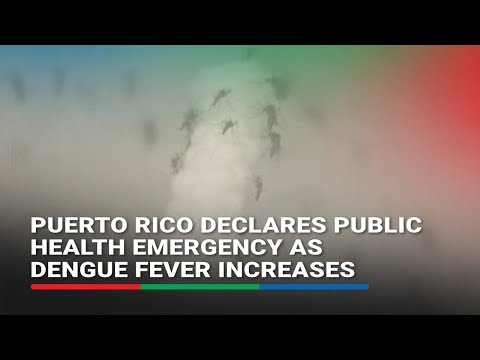 Puerto Rico declares public health emergency as dengue fever increases | ABS CBN News