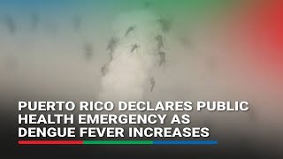 Puerto Rico declares public health emergency as dengue fever increases | ABS CBN News by ABS-CBN News 1,057 views 6 hours ago 4 minutes