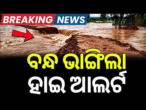 ରାତି ଅଧରେ ଭାଙ୍ଗିଲା ବନ୍ଧ! Massive Breach in Daya River at Kanas: 8 Villages Under Severe Flood Threat
