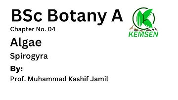Spirogyra I Algae I BSc Bot A I Chapter No. 04 / KEMSEN