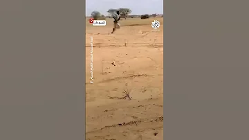 بعد اعادة السيطرة عليها القوة المشتركة الموالية للجيش السوداني تطارد قوات الدعم السريع في أم صميمة 