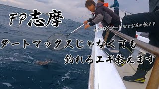 Vol.31【ティップランエギング】FP志摩　志摩沖はダートマックス一択！？　ない場合はこのエギで釣れます