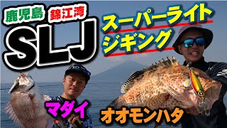 【錦江湾SLJ】オオモンハタ・真鯛が炸裂！鹿児島県の錦江湾で楽しむ、かんたんお手軽スーパーライトジギング！