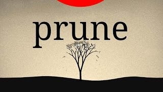 Prune - Очаровывающая головоломка  на Android ( Review) screenshot 5