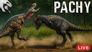 🔴 Der PRIME ELDER PACHY bricht alle Knochen! 💥🤕 - The Isl...