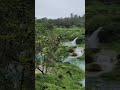 اغاني متنوعة هاني شاكر بحبك ياغالي دايما على بالي