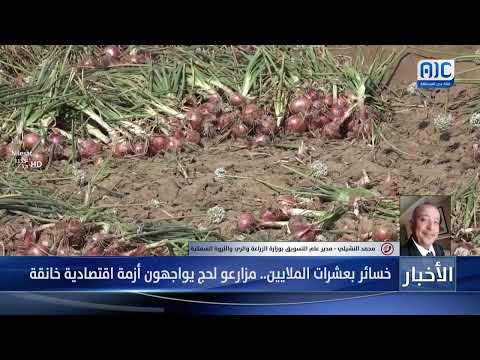 محمد النشيلي: نسعى لإنشاء مؤسسة تسويقية للخضار والفواكه لحماية المزارعين من الخسائر وتقلبات السوق