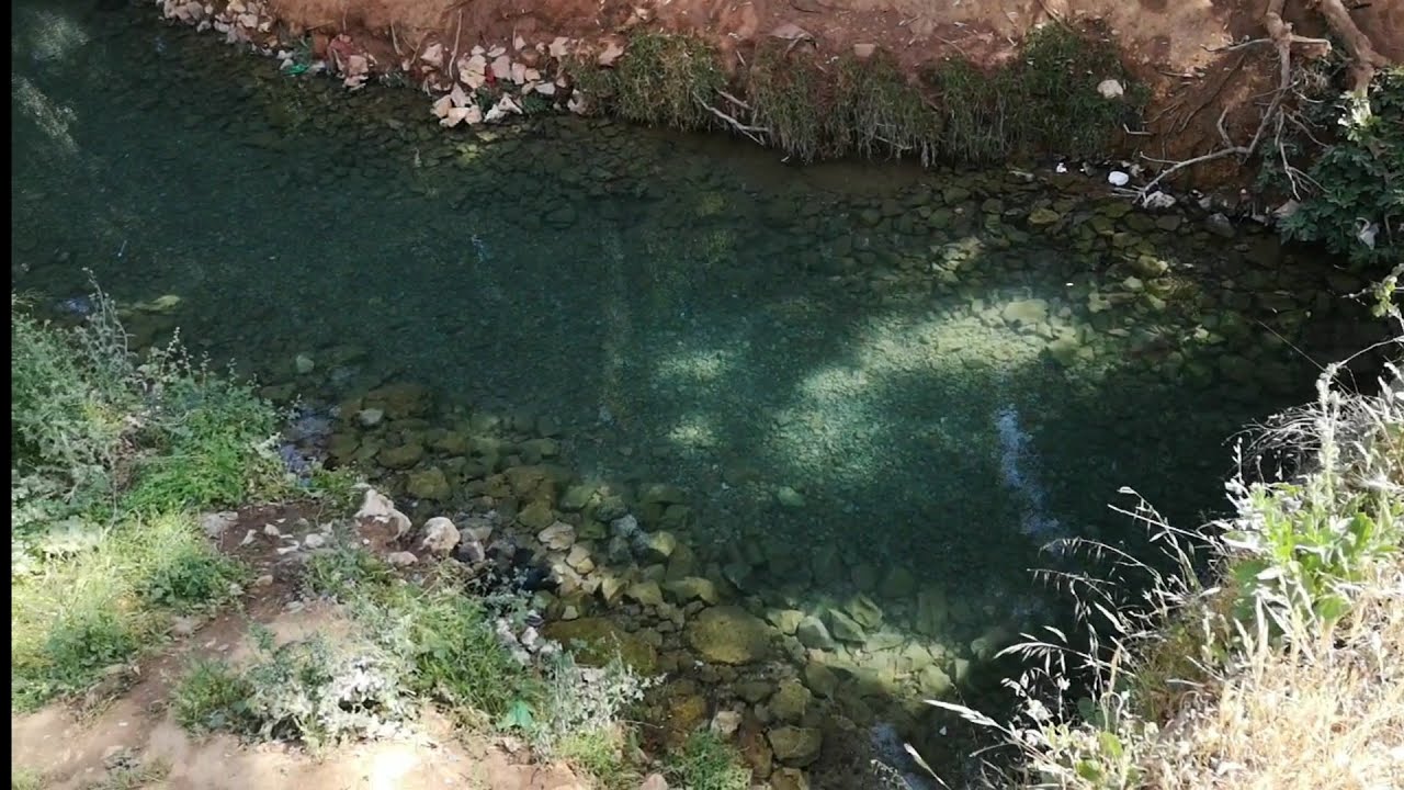 نزهة في غابة عين الشقف فاس 🌳🌲😍