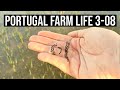 KAYAKS and FROGS🐸 |PORTUGAL FARM LIFE S3-E08 ❤