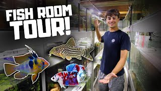 HUGE Fish Room Tour! (Rams, Corydoras, Bettas, Angelfish, Plecos)