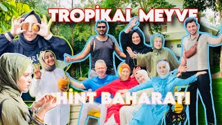 Download Lagu HİNDİSTAN- Kerala’da Tropikal Tatlar ve Orman Keşfi 😍 MP3 Download Lagu HİNDİSTAN- Kerala’da Tropikal Tatlar ve Orman Keşfi 😍 MP3