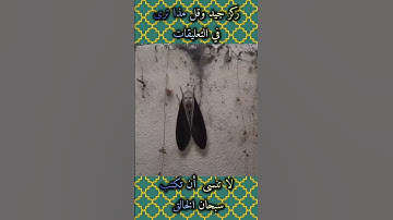 القرآن الكريم مشهد عجيب #سبحان الخالق