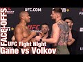 UFC Fight Night Face-Offs: Gane vs Volkov