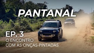 Ep.3: Face-to-face with jaguars on an exciting safari • 4x4 Pantanal Expedition