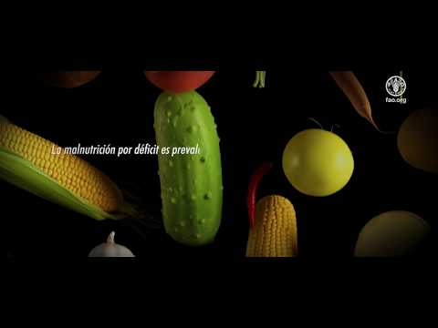 Prueba piloto de
