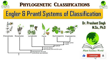 Engler & Prantl Systems of Classification (Phylogenetic Classifications)
