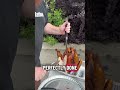 DEEP FRYING A TURKEY AT A STAMPS TAILGATE  🦃 #tailgate #football #cfl