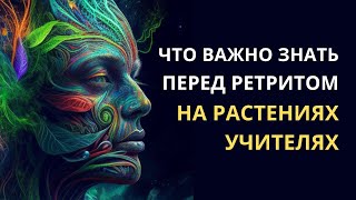 Что важно знать перед ретритом на растениях учителях. #грибнойретрит #ретрит #пробуждениесознания