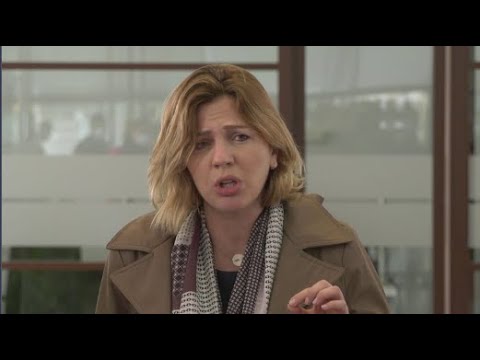 „ოცნება“ ფართომასშტაბიან თვალთვალსა და მიყურადებას აწარმოებს  - ანა დოლიძის სარჩელი და მოთხოვნა