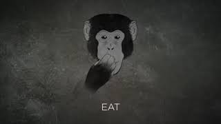 Can Apes Really "Talk" To Humans? (Extended and Makes Less Sense)