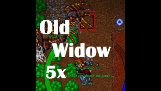 Tibia - Old Widow (5x with MS 97)